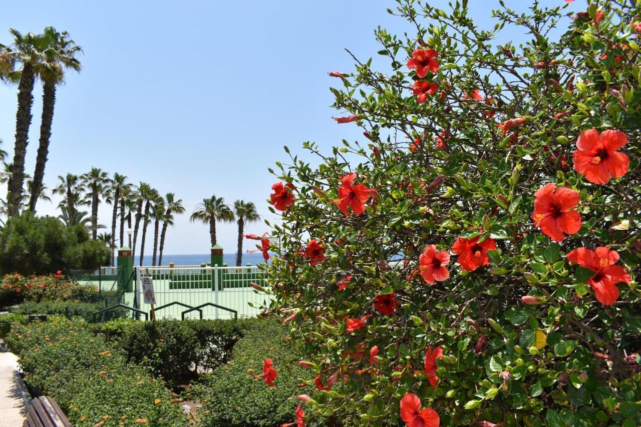 Apartamento Fantastic Studio - Beachfront Torrox Exterior foto